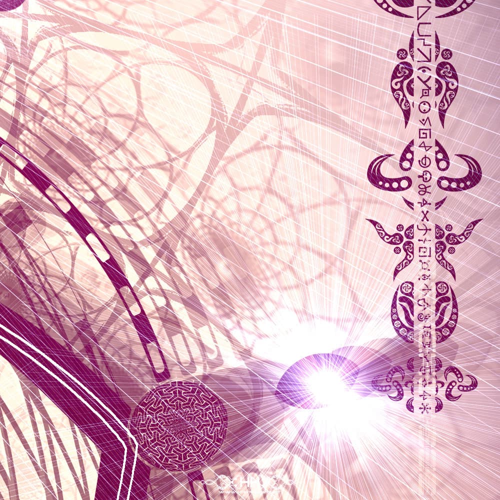 Indra's Net detail 6