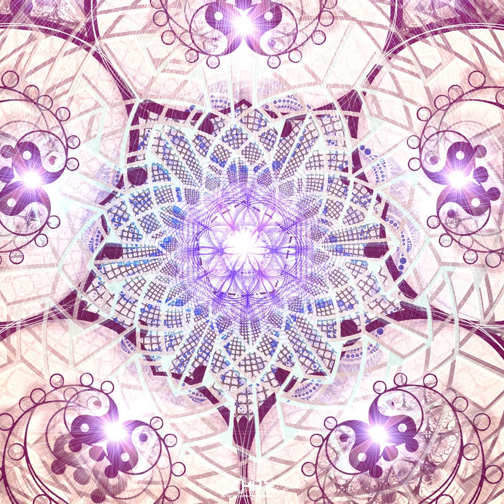 Indra's Net detail 7