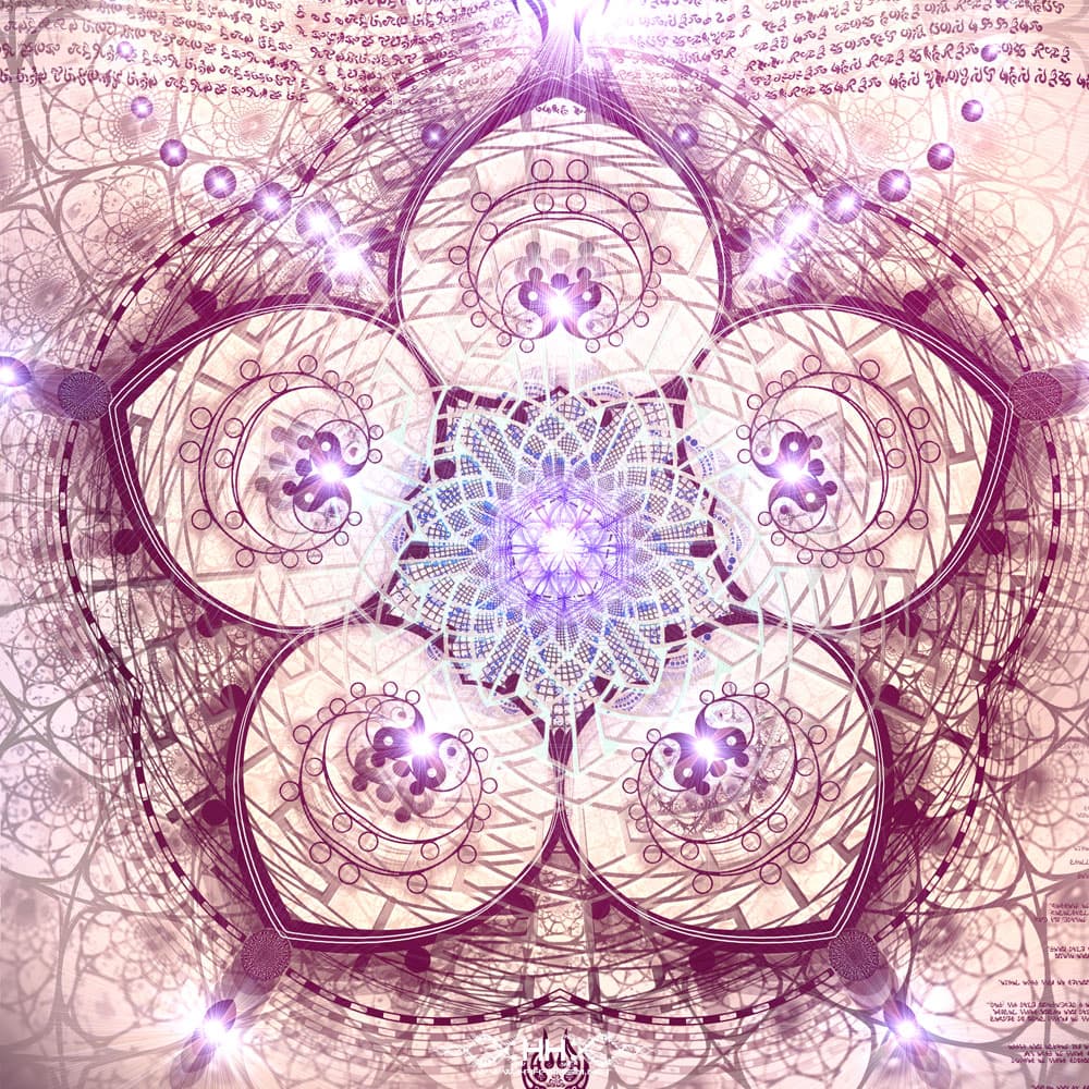 Indra's Net detail 8