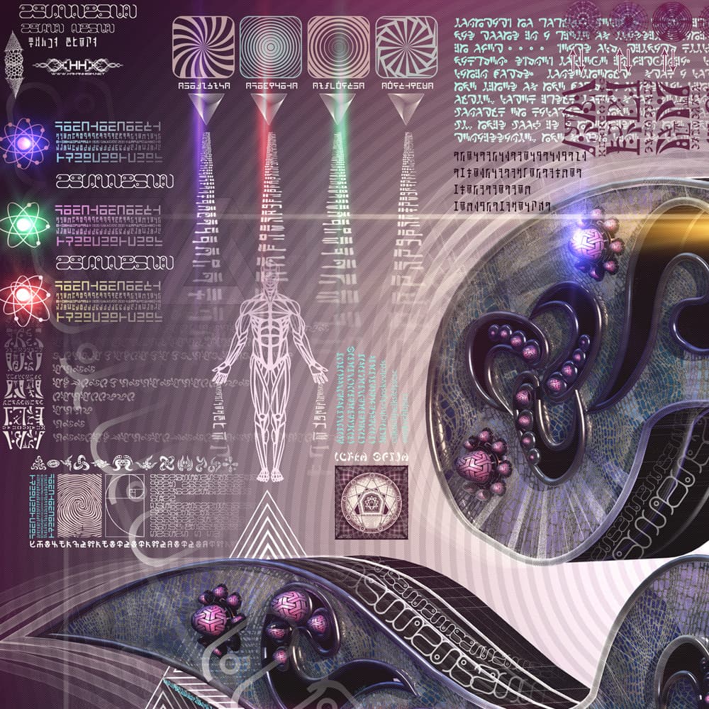 Reversible Ratio detail 5