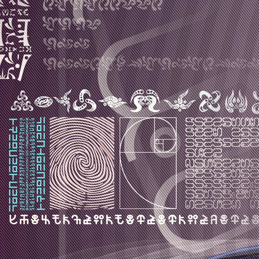 Reversible Ratio detail 10