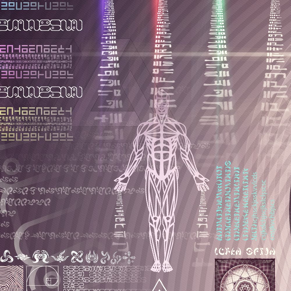 Reversible Ratio detail 14