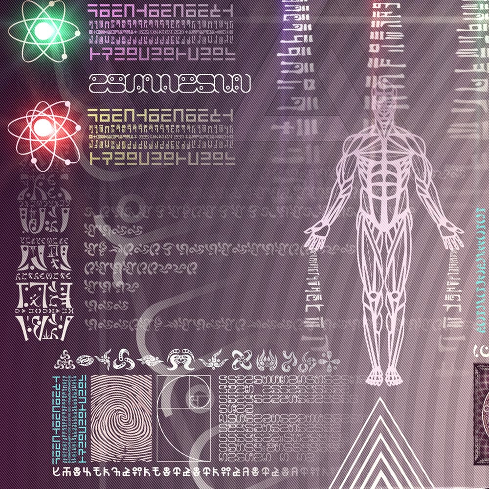 Reversible Ratio detail 15