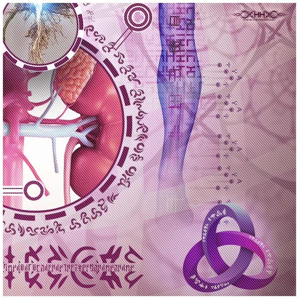 Bio-Energetic Vortexes No.1 — Root (Muladhara Chakra) detail 11