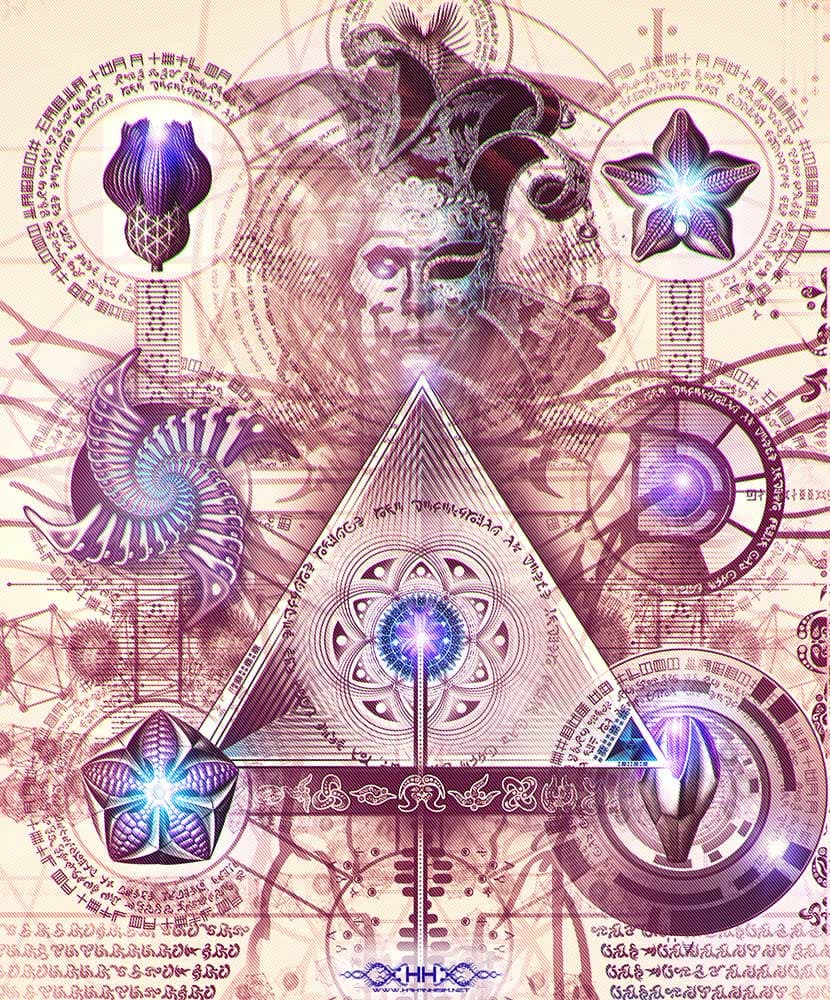 Universal Transmissions VI — Vehicular Dynamics detail 1