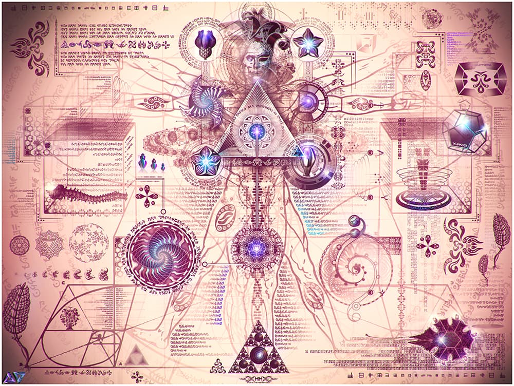 Universal Transmissions VI — Vehicular Dynamics