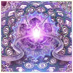 Spirit - Details 06.jpg