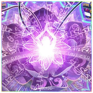 Spirit - Details 12.jpg