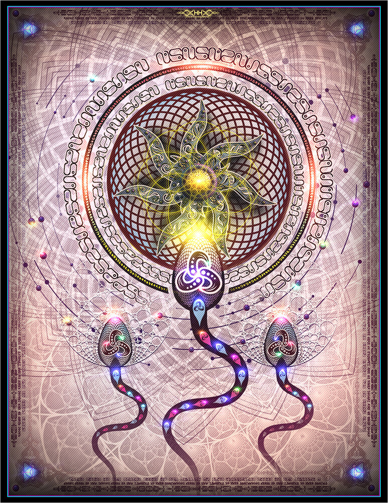 immaculate conception - web2.jpg